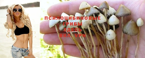 mix Аркадак